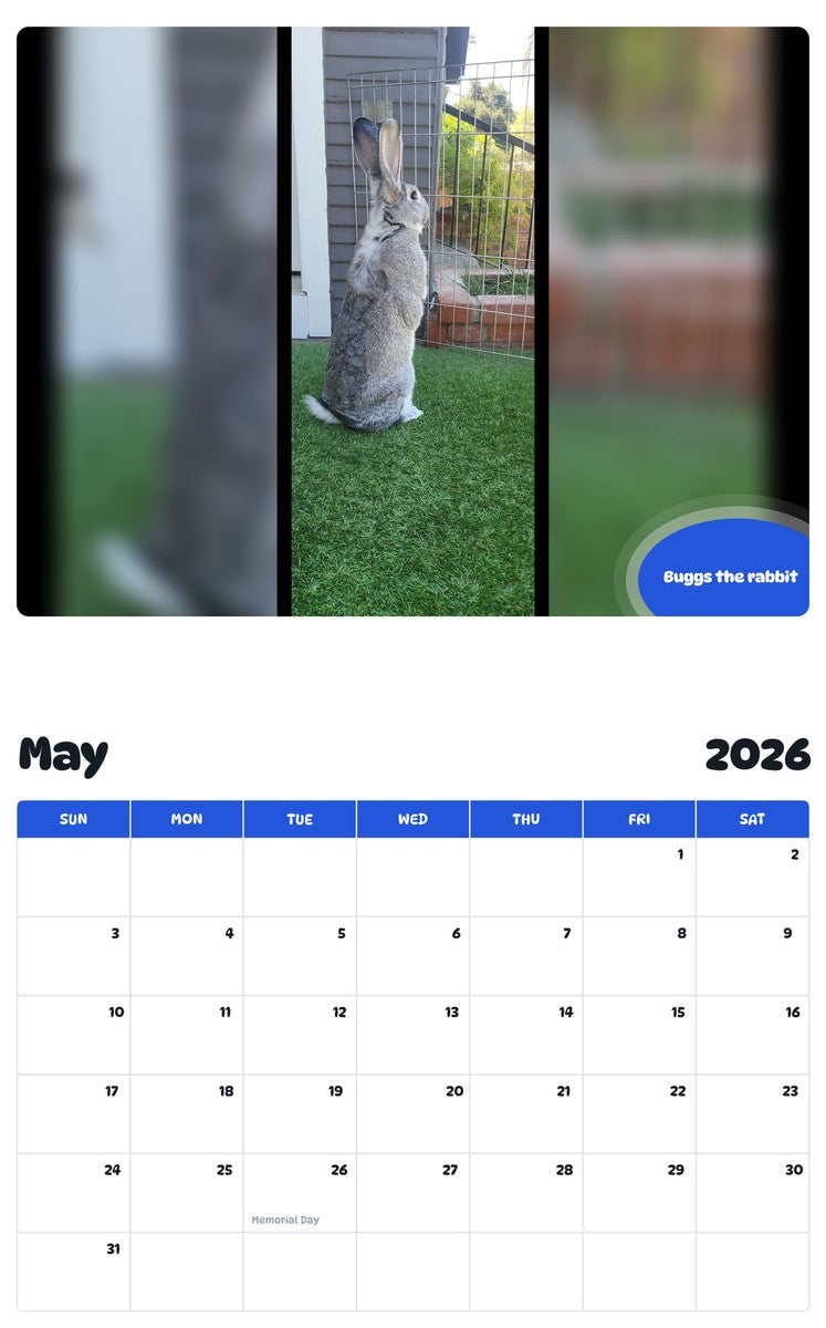 2026 - 2027 Buggs the rabbit - Pawidols Pet Calendar
