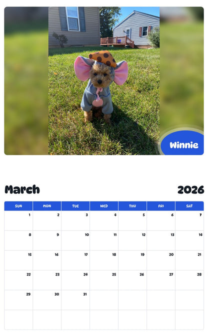 November 2025 - October 2026 Winnie - Pawidols Pet Calendar