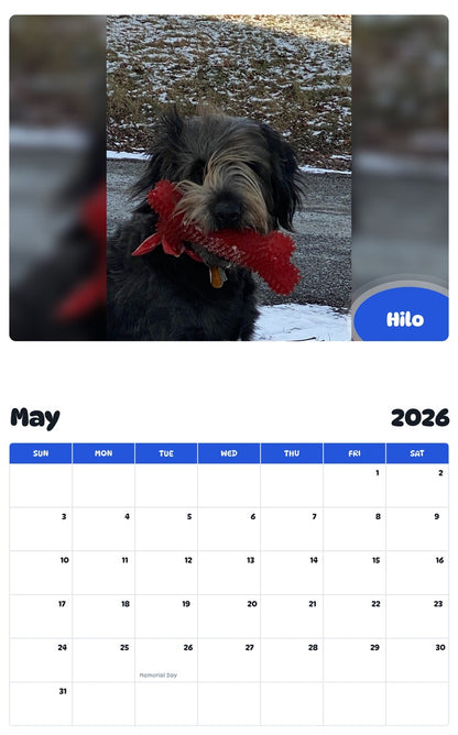 2026 - 2027 Hilo - Pawidols Pet Calendar
