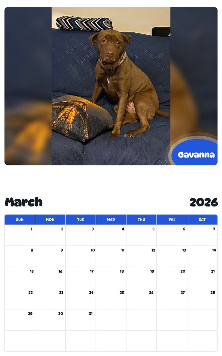 November 2025 - October 2026 Gavanna - Pawidols Pet Calendar