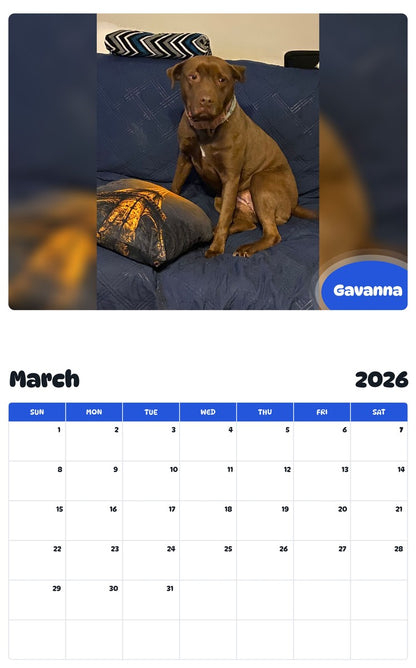 November 2025 - October 2026 Gavanna - Pawidols Pet Calendar
