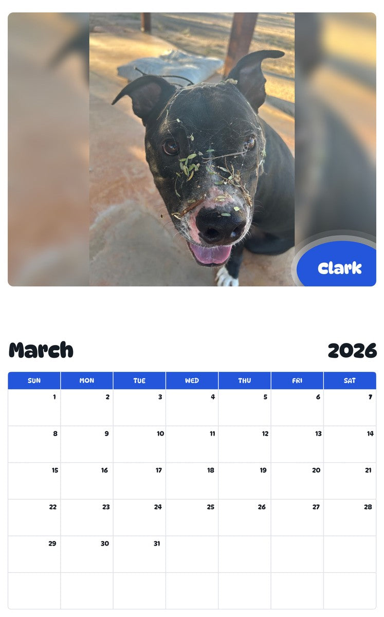 November 2025 - October 2026 Clark - Pawidols Pet Calendar