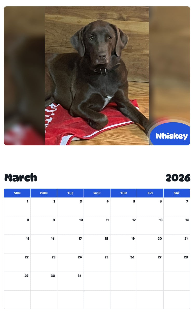 November 2025 - October 2026 Whiskey - Pawidols Pet Calendar