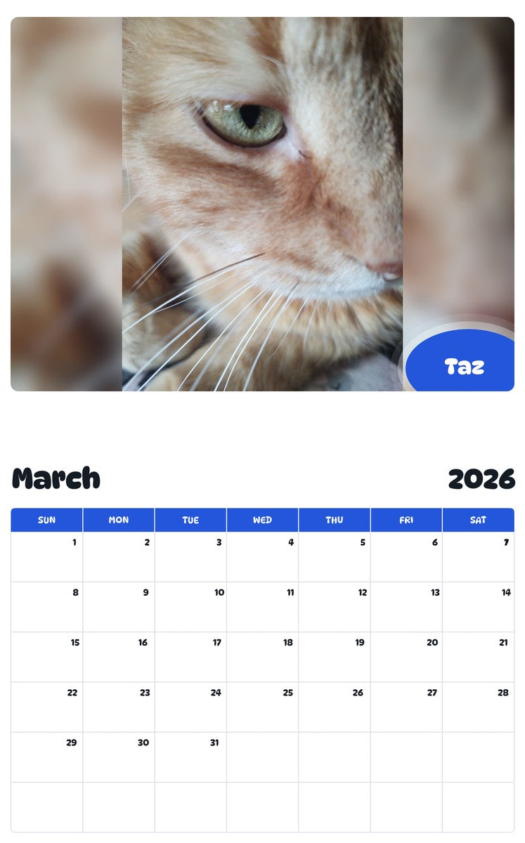 November 2025 - October 2026 Taz - Pawidols Pet Calendar