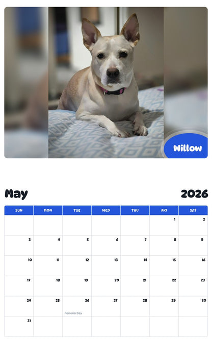 2026 - 2027 Willow - Pawidols Pet Calendar