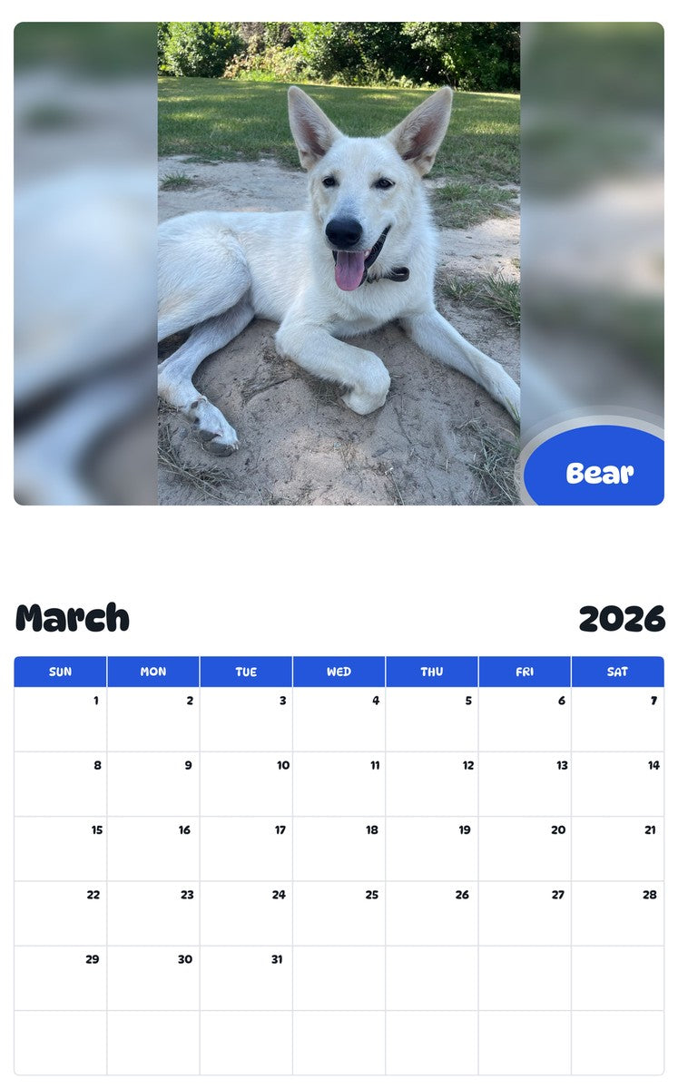 November 2025 - October 2026 Bear - Pawidols Pet Calendar
