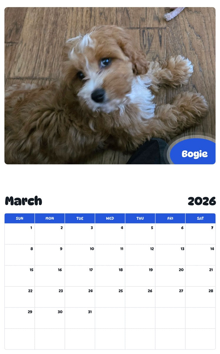 November 2025 - October 2026 Bogie - Pawidols Pet Calendar