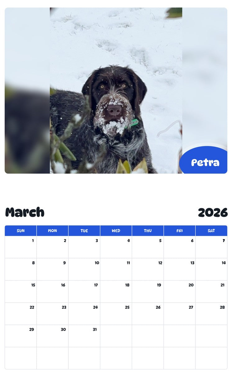 November 2025 - October 2026 Petra - Pawidols Pet Calendar