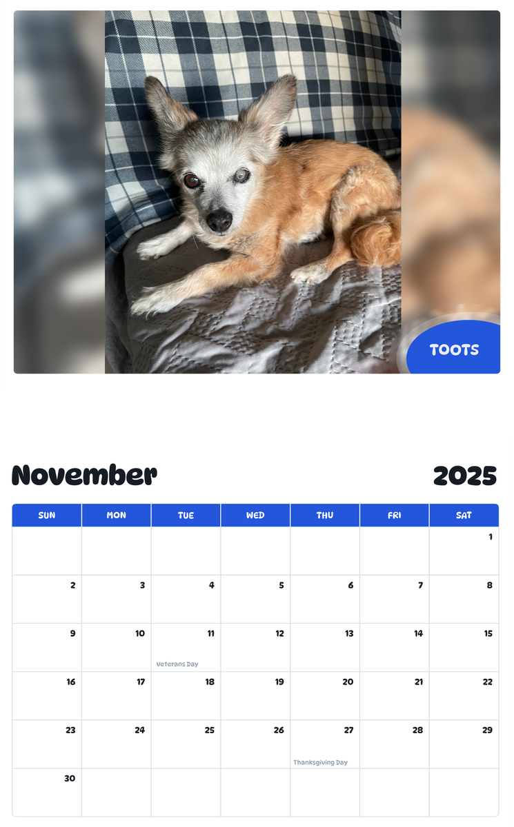 July 2025 - June 2026 Toots - Pawidols Pet Calendar