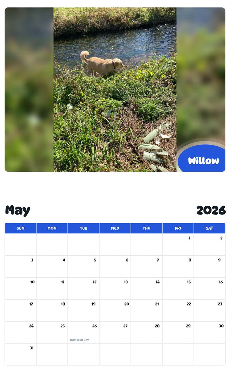 2026 - 2027 Willow - Pawidols Pet Calendar