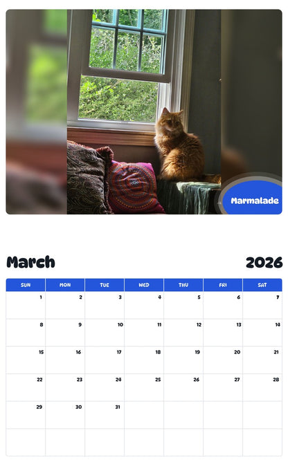 November 2025 - October 2026 Marmalade - Pawidols Pet Calendar