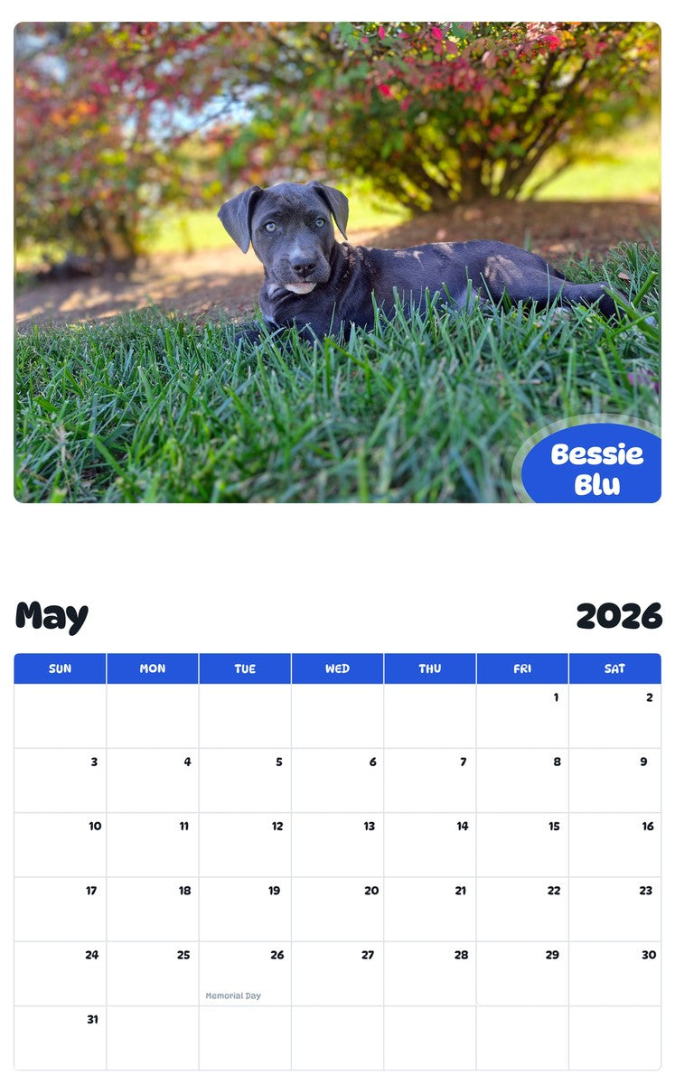 2026 - 2027 Bessie Blu - Pawidols Pet Calendar