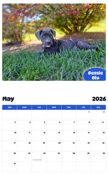 2026 - 2027 Bessie Blu - Pawidols Pet Calendar