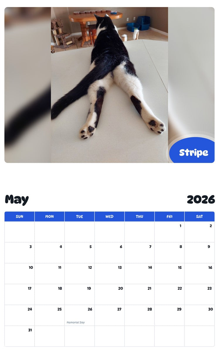 2026 - 2027 Stripe - Pawidols Pet Calendar