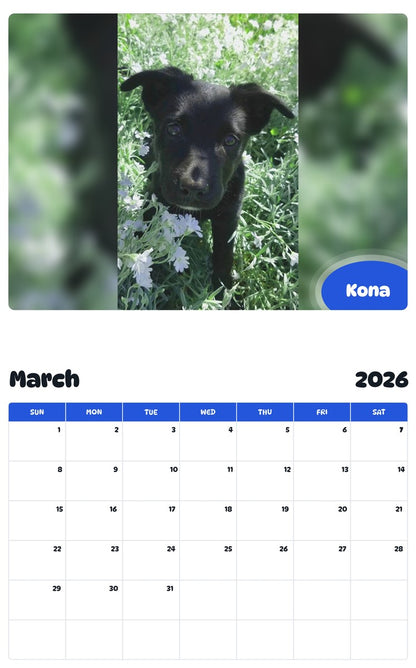 November 2025 - October 2026 Kona - Pawidols Pet Calendar