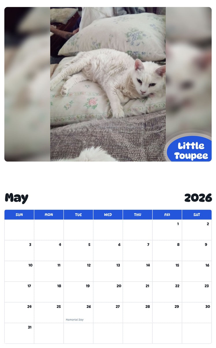 2026 - 2027 Little Toupee - Pawidols Pet Calendar
