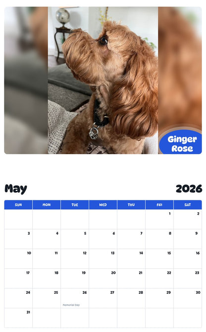 2026 - 2027 Ginger Rose - Pawidols Pet Calendar