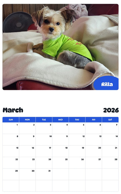 November 2025 - October 2026 Rilla - Pawidols Pet Calendar