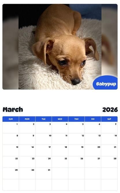 November 2025 - October 2026 Babypup - Pawidols Pet Calendar