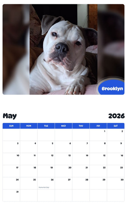 2026 - 2027 Brooklyn - Pawidols Pet Calendar