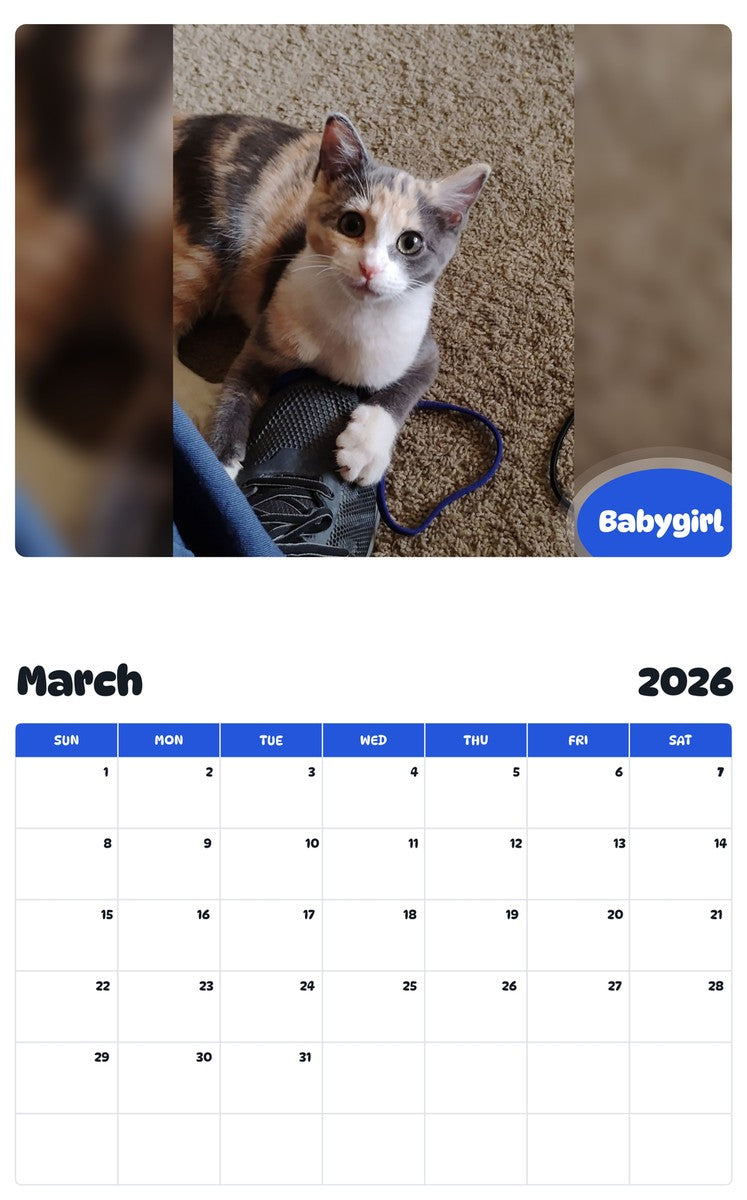 November 2025 - October 2026 Babygirl - Pawidols Pet Calendar