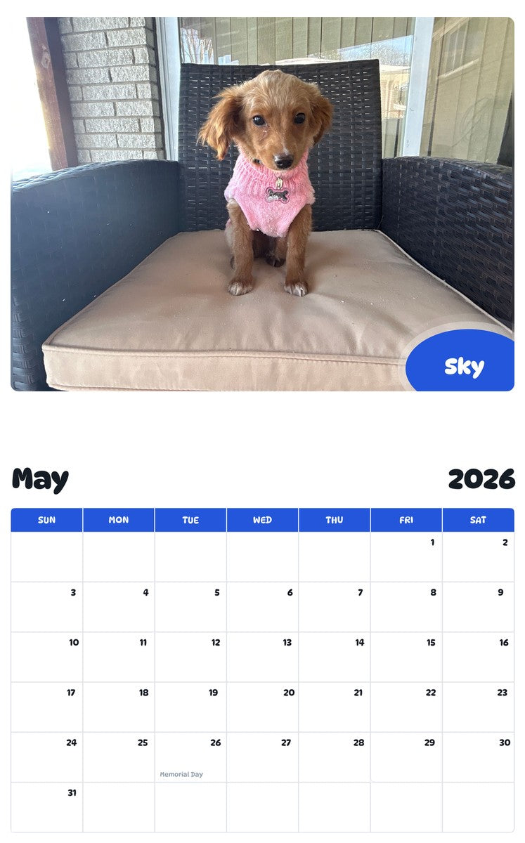 2026 - 2027 Sky - Pawidols Pet Calendar