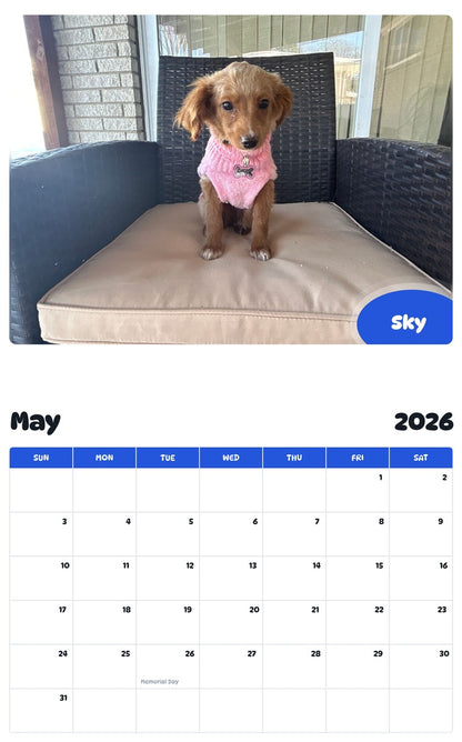 2026 - 2027 Sky - Pawidols Pet Calendar