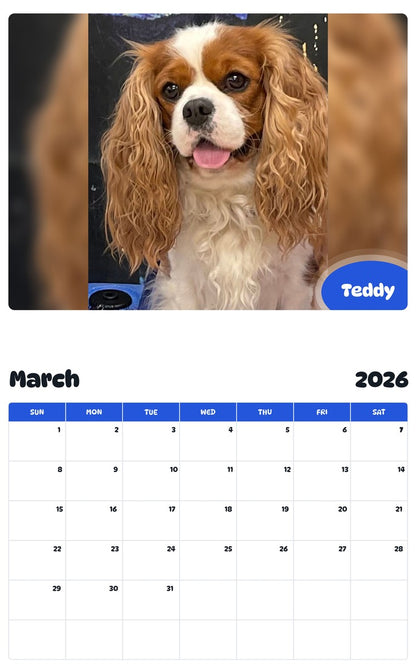 November 2025 - October 2026 Teddy - Pawidols Pet Calendar
