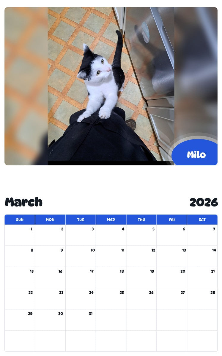 November 2025 - October 2026 Milo - Pawidols Pet Calendar