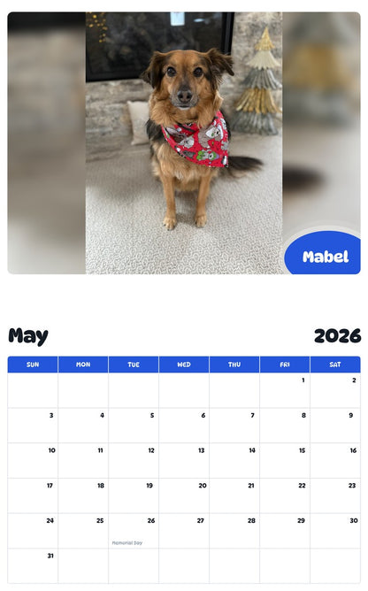 2026 - 2027 Mabel - Pawidols Pet Calendar