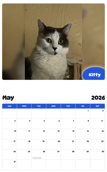 2026 - 2027 Kitty - Pawidols Pet Calendar