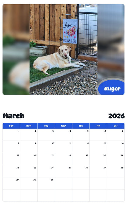 November 2025 - October 2026 Ruger - Pawidols Pet Calendar
