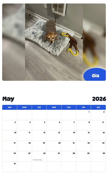 2026 - 2027 Gia - Pawidols Pet Calendar