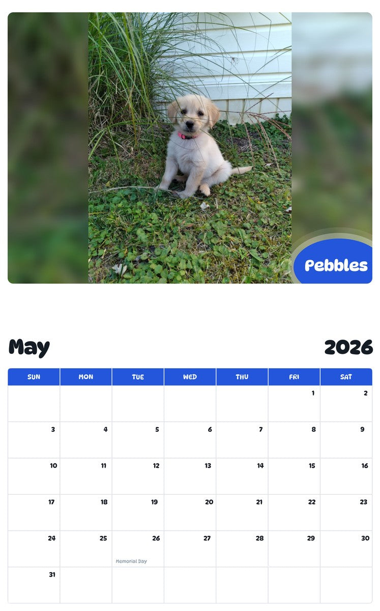 2026 - 2027 Pebbles - Pawidols Pet Calendar