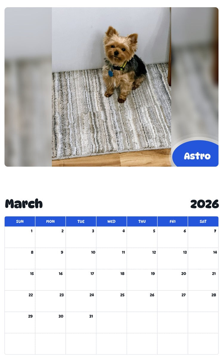 November 2025 - October 2026 Astro - Pawidols Pet Calendar