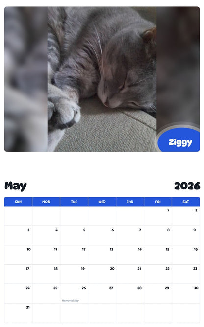 2026 - 2027 Ziggy - Pawidols Pet Calendar