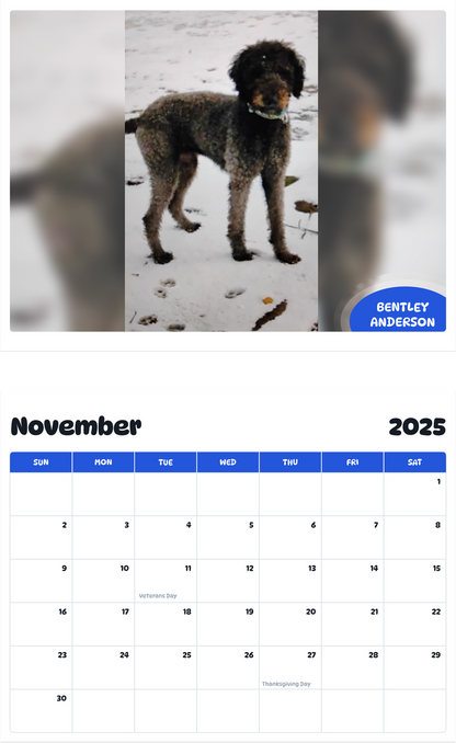 July 2025 - June 2026 Bentley Anderson - Pawidols Pet Calendar