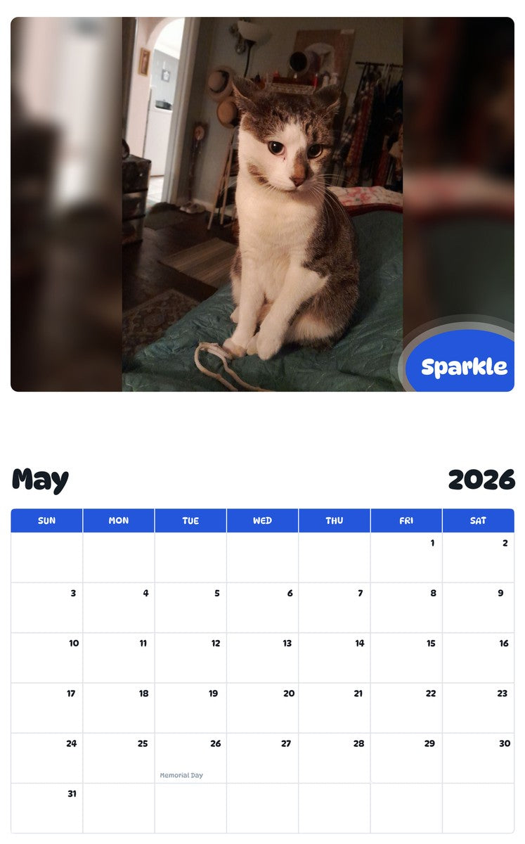 2026 - 2027 Sparkle - Pawidols Pet Calendar