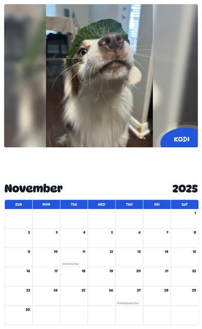 July 2025 - June 2026 Kodi - Pawidols Pet Calendar