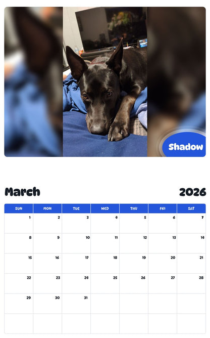 November 2025 - October 2026 Shadow - Pawidols Pet Calendar