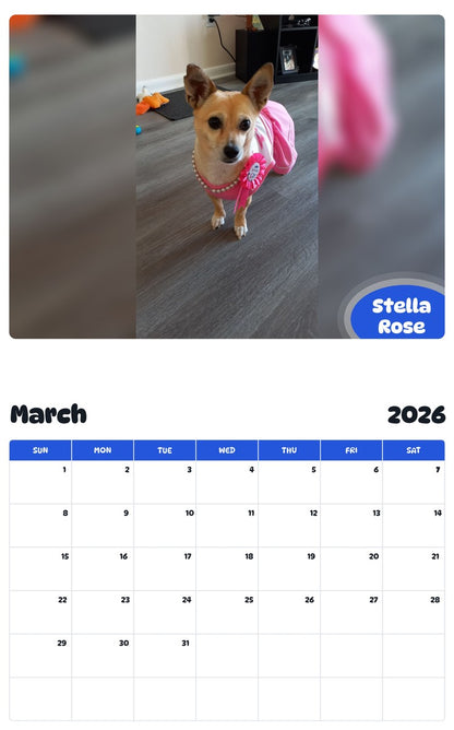 November 2025 - October 2026 Stella Rose - Pawidols Pet Calendar