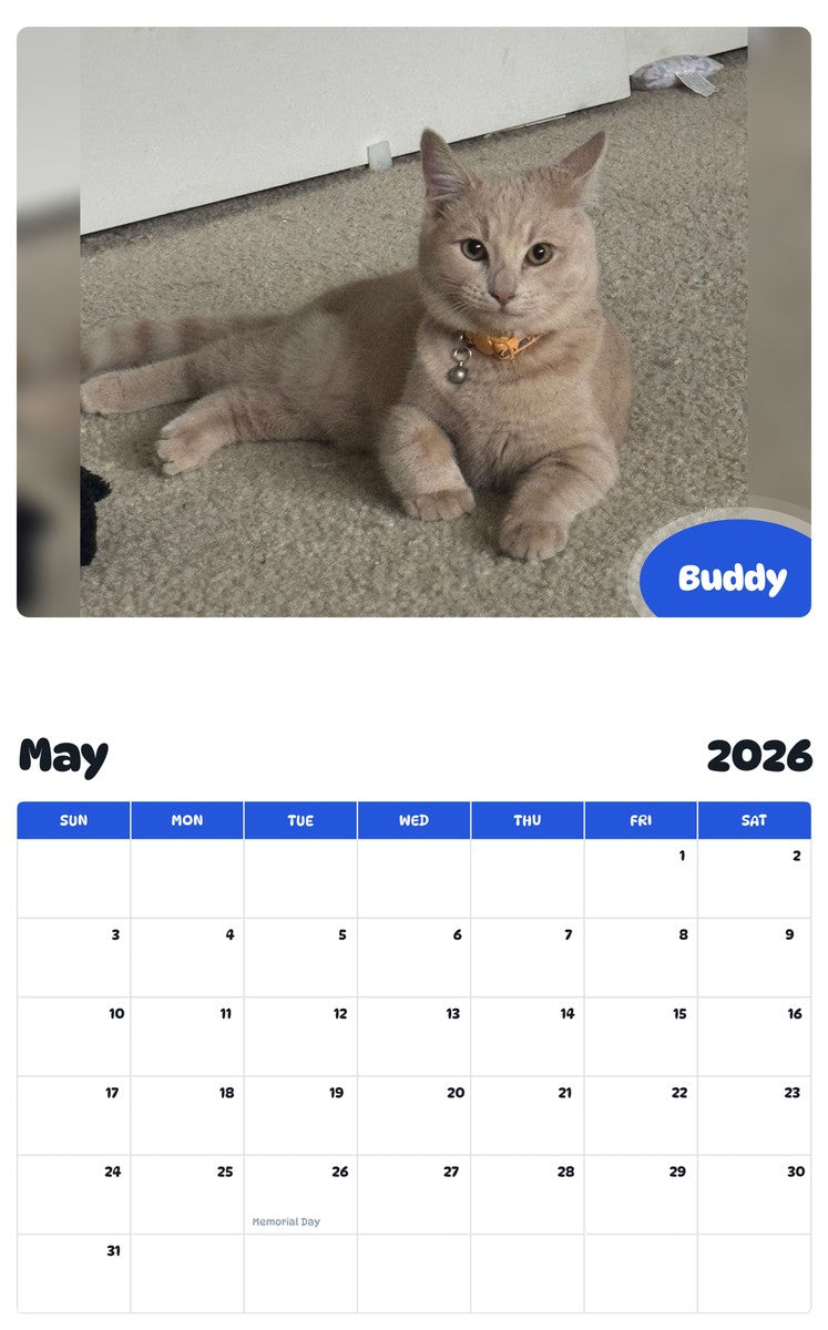 2026 - 2027 Buddy - Pawidols Pet Calendar