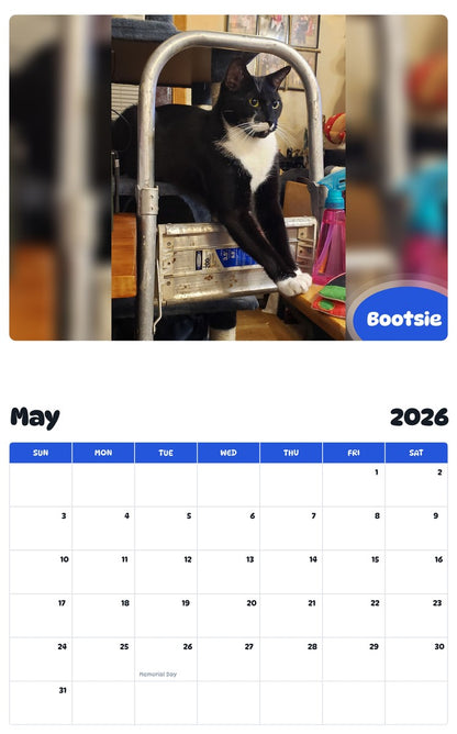 2026 - 2027 Bootsie - Pawidols Pet Calendar