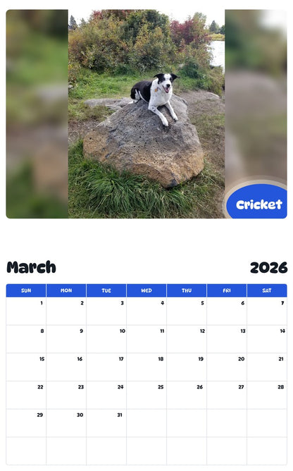 November 2025 - October 2026 Cricket - Pawidols Pet Calendar