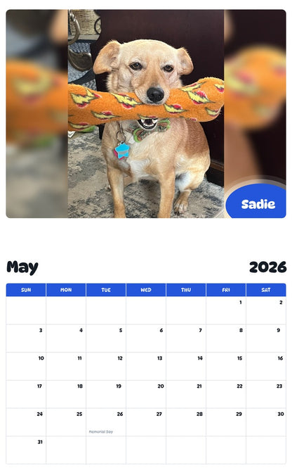 2026 - 2027 Sadie - Pawidols Pet Calendar