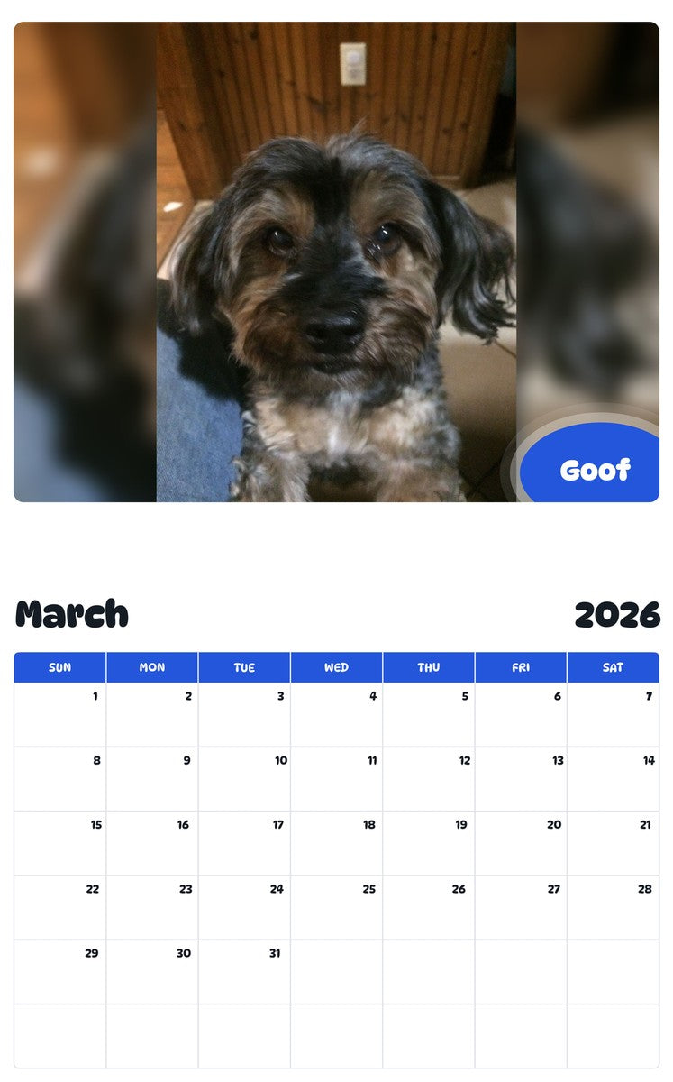 November 2025 - October 2026 Goof - Pawidols Pet Calendar