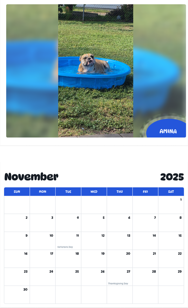 July 2025 - June 2026 Amina - Pawidols Pet Calendar