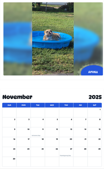 July 2025 - June 2026 Amina - Pawidols Pet Calendar