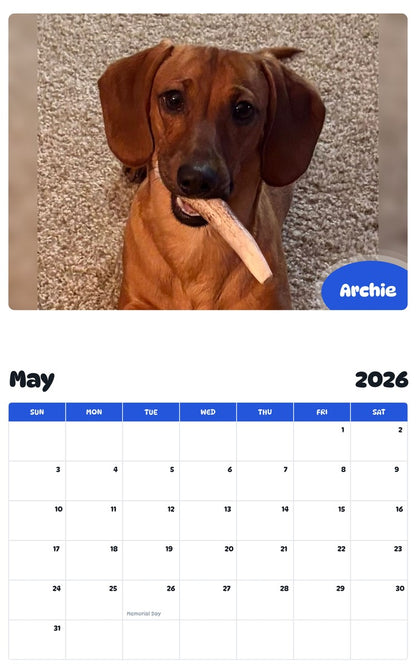 2026 - 2027 Archie - Pawidols Pet Calendar