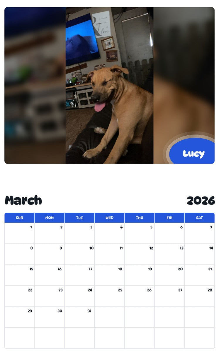 November 2025 - October 2026 Lucy - Pawidols Pet Calendar